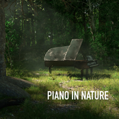 Piano in Nature