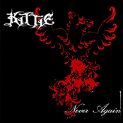 Never Again cover