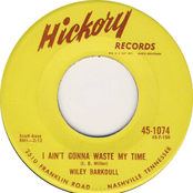 I Ain't Gonna Waste My Time / Hey, Honey