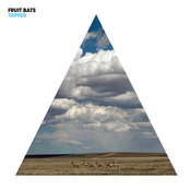 Dolly by Fruit Bats