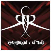 Cybernaught : Remixes