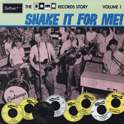 Soma Records Story 1:Shake It For Me!