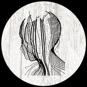 Confession / Lodi Los Gehen