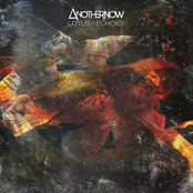 Lotus / Echoes