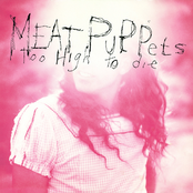 Never To Be Found by Meat Puppets