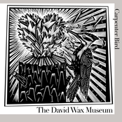 Be Like A Ghost by David Wax Museum