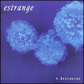 Endure by Estrange