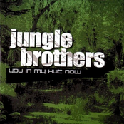 Bounce by Jungle Brothers