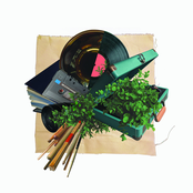 Cisco Swank: Some Things Take Time