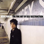 Jesse Malin - The Fine Art Of Self Destruction Artwork