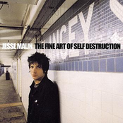 Downliner by Jesse Malin