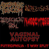 Putridphilia - 5 Way Split
