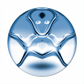 Looking For Something