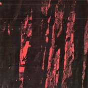 Svartvit / Slakkengang [split]