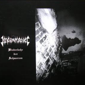 Wiederkhekr der Schmerzen