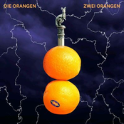 Zwei Orangen