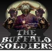 buffalo soldiers