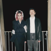 Live Free & Die When It's Cool