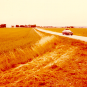 Stor in a Cool Dry Place