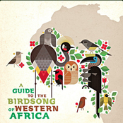 A Guide to the Birdsong of Western Africa
