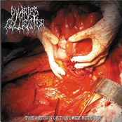 The Return Of The Ovum Butcher