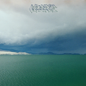 Sunspots In The House Of The Late Scapegoat by Modest Mouse