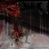 Festering Cranial Periodicities
