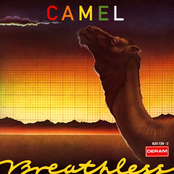 Echoes by Camel