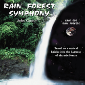 Rain Forest Symphony