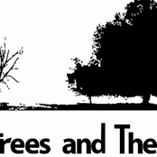 the trees and the bees