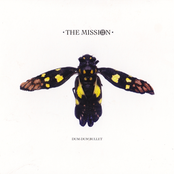 Stranger In A Foreign Land by The Mission