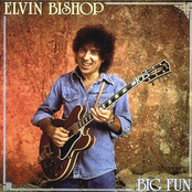 No Broken Hearts by Elvin Bishop