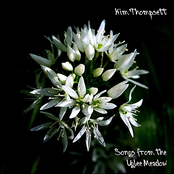 My Love Is A Garden by Kim Thompsett