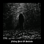 Falling Petal of Solitude