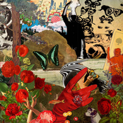 A Dozen Red Roses, Please