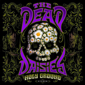 The Dead Daisies: holy ground