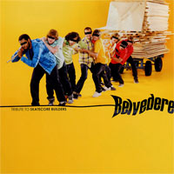 Tribute To Belvedere