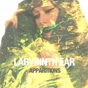 Amber by Labyrinth Ear