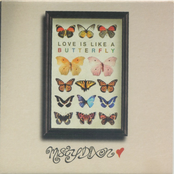 Love Is Like A Butterfly