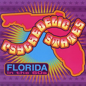 Psychedelic States: Florida In The 60s Vol. 1