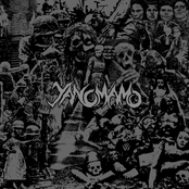 No Sympathy for a Rat