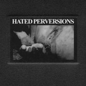 VA - (2008) Hated Perversions