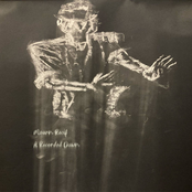 Split with Mourn Recif