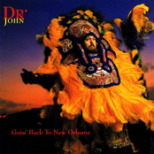 Do You Call That A Buddy? by Dr. John