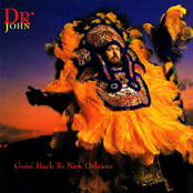 Milneburg Joys by Dr. John