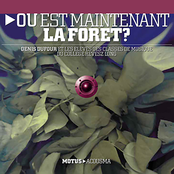 Où Est Maintenant La Forêt ?