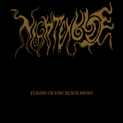 Flight Of The Black Swan