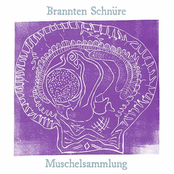 Muschelsammlung