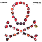 Ed Warner's Cage / Rookie Rock Radio