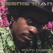 Tiger Ride Inna Town by Beenie Man